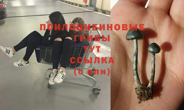 герыч Зеленодольск