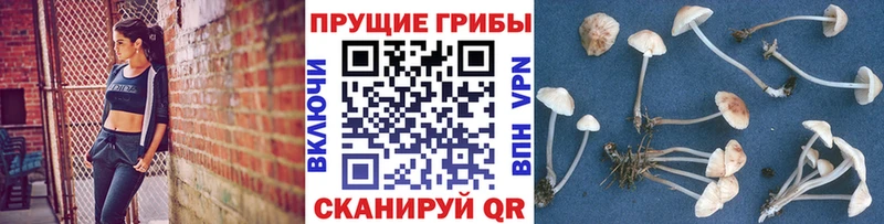 Галлюциногенные грибы ЛСД  Купить закладки  Луза 